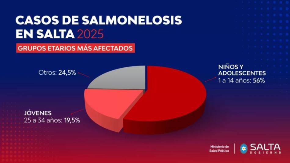 Los casos de salmonelosis cayeron con fuerza en Salta y marcan un segundo año de descenso sostenido