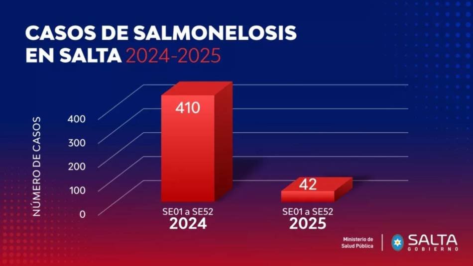 Los casos de salmonelosis cayeron con fuerza en Salta y marcan un segundo año de descenso sostenido