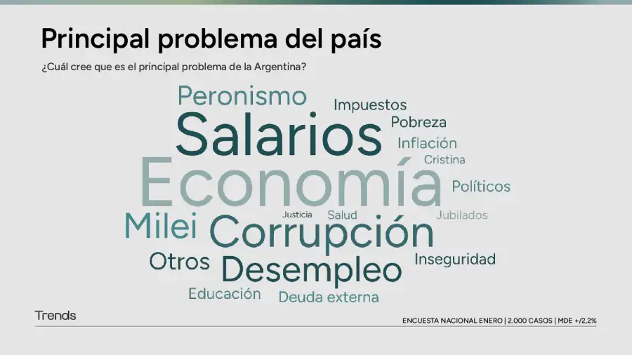 Principales problemas del pais