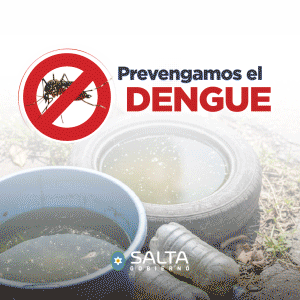 261001 Banner werb Dengue 300x300
